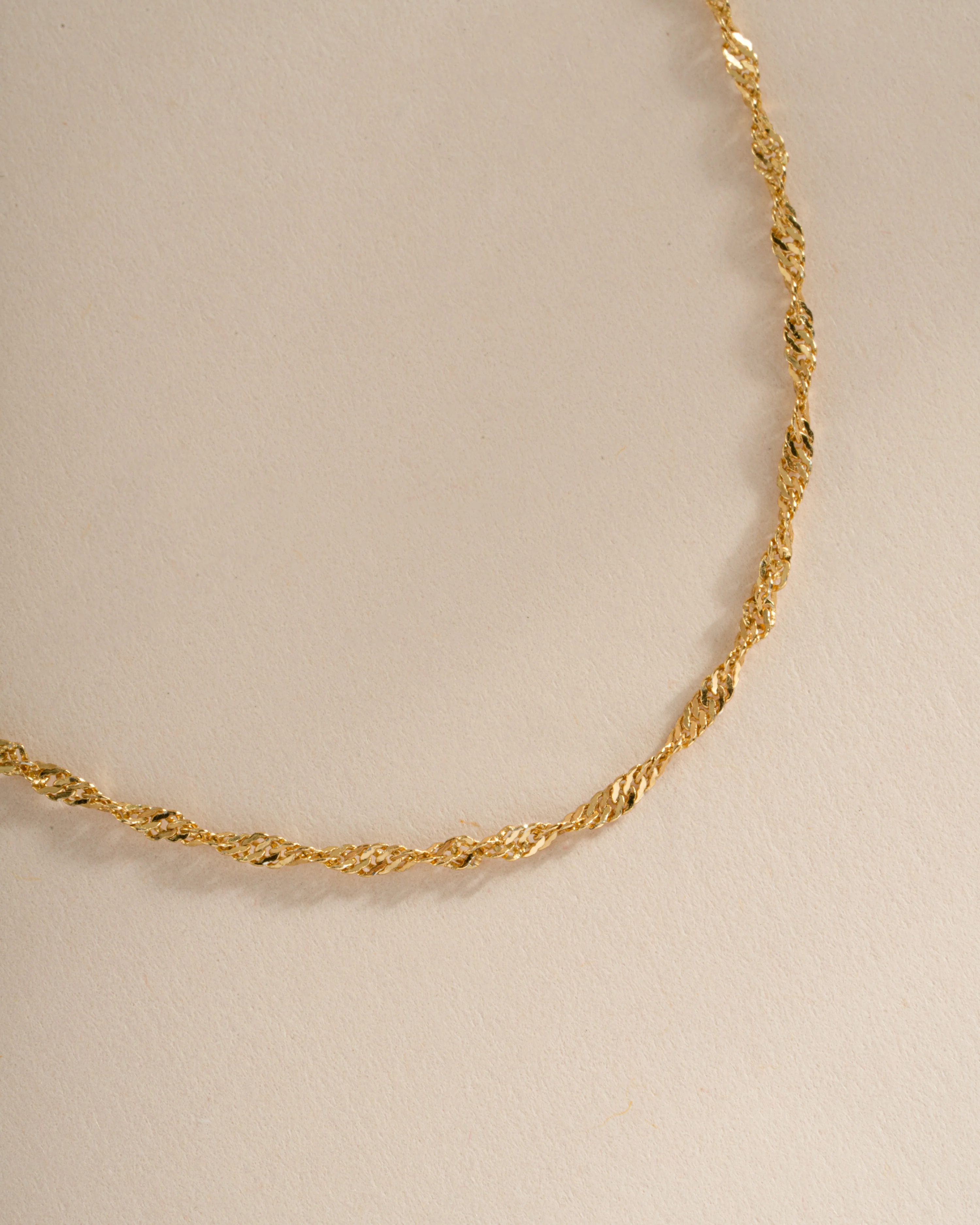 Thin Twisted Chain Necklace - Image 7